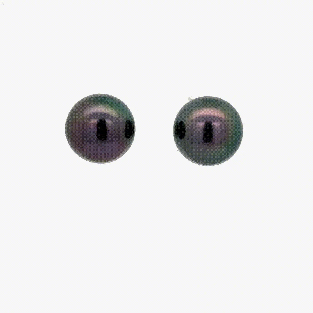 Tahitian Pearl Studs (10.5MM) by Sharon Teaman — view 1
