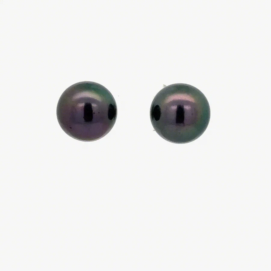 Tahitian Pearl Studs (10.5MM) by Sharon Teaman