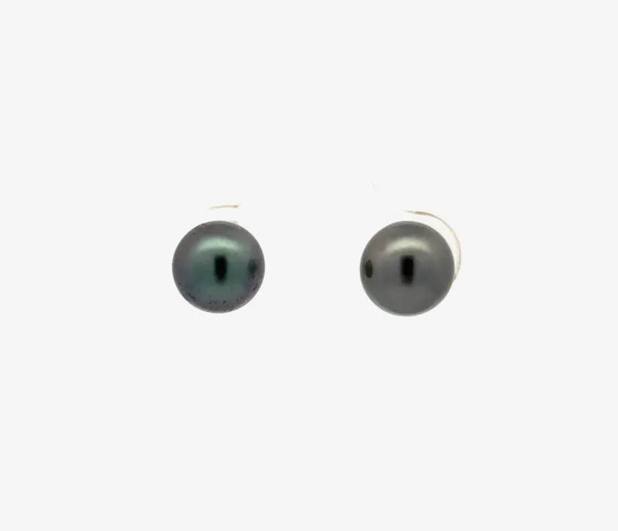 Tahitian Pearl Studs (8mm) by Sharon Teaman