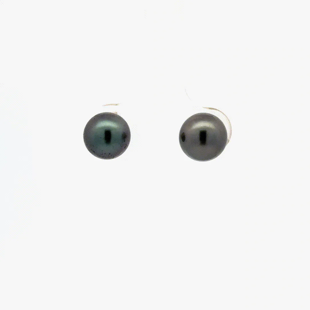 Tahitian Pearl Studs (8mm) by Sharon Teaman — view 2