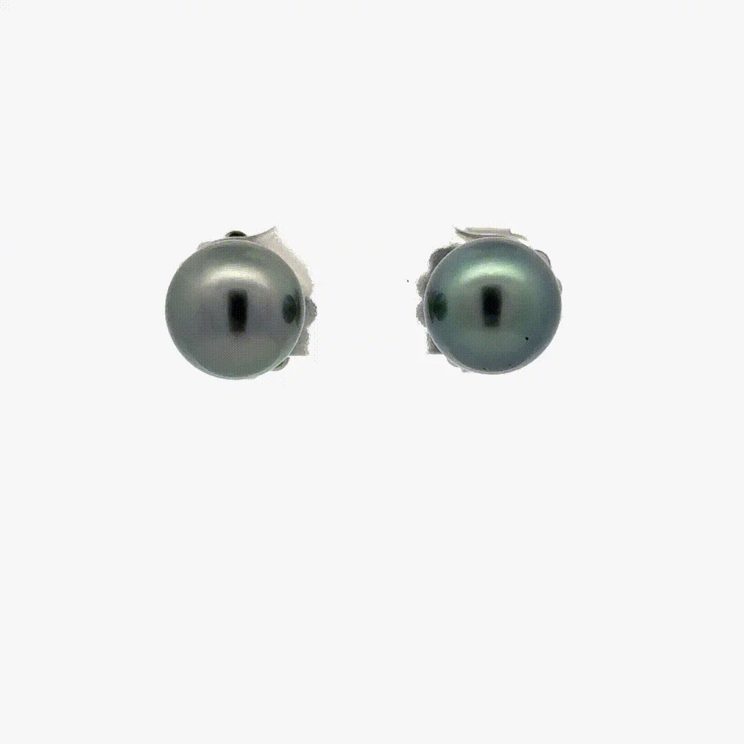 Tahitian Pearl Studs (9mm) by Sharon Teaman — view 1