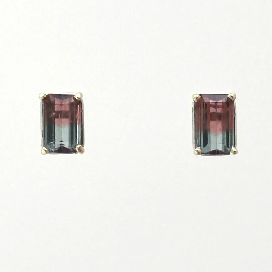 Watermelon Tourmaline Studs 14k White( (RARE Bi-Color Pastel Green & Pink color) by Sharon Teaman